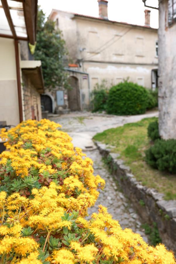 Apartmani Nad Voltun カスタヴ エクステリア 写真